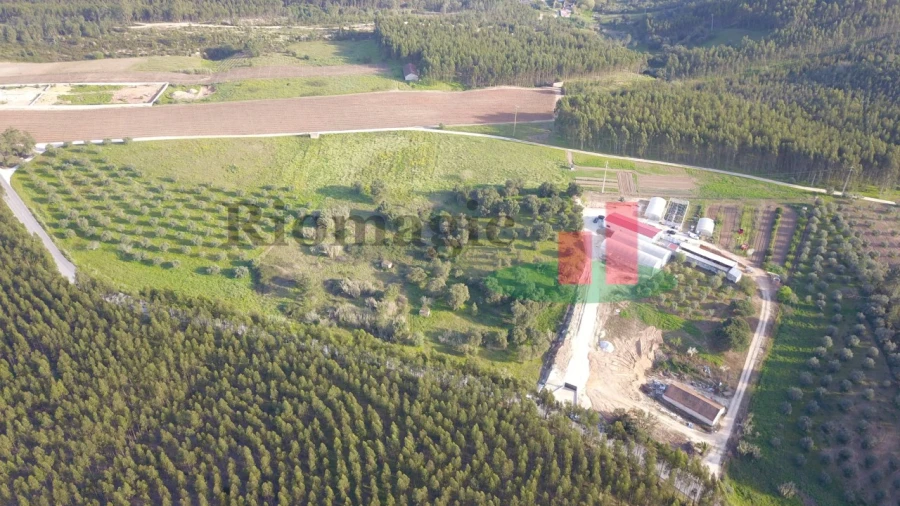 Terreno Agricola ou Rústico para Venda em Rio Maior Foto 1