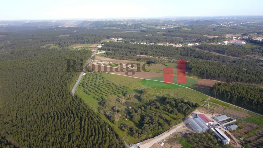 Terreno Agricola ou Rústico para Venda em Rio Maior Foto 9