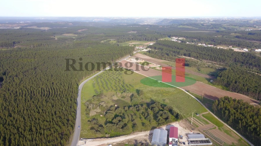 Terreno Agricola ou Rústico para Venda em Rio Maior Foto 10