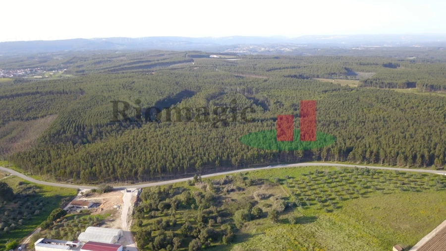 Terreno Agricola ou Rústico para Venda em Rio Maior Foto 12