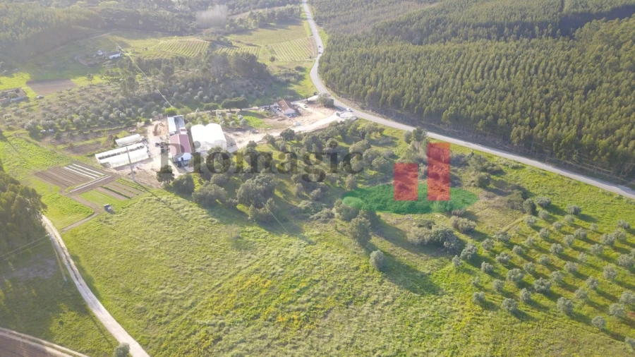 Terreno Agricola ou Rústico para Venda em Rio Maior Foto 2