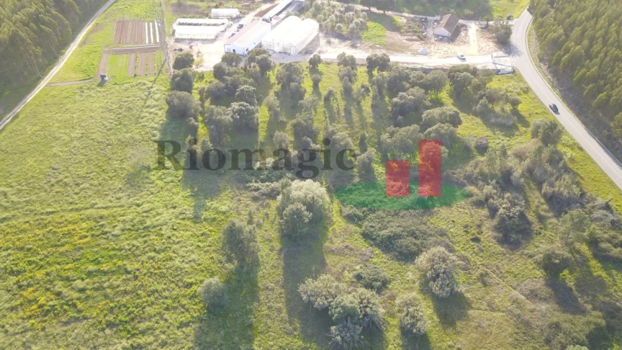 Terreno Agricola ou Rústico para Venda em Rio Maior Foto 13