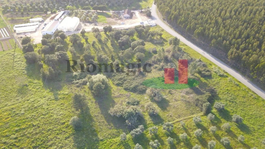 Terreno Agricola ou Rústico para Venda em Rio Maior Foto 14