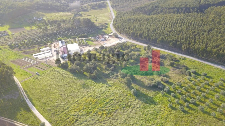 Terreno Agricola ou Rústico para Venda em Rio Maior