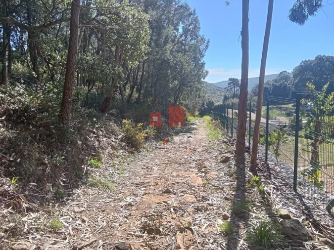 Terreno para Venda em Venda do Pinheiro e Santo Estêvão das Galés Foto 1