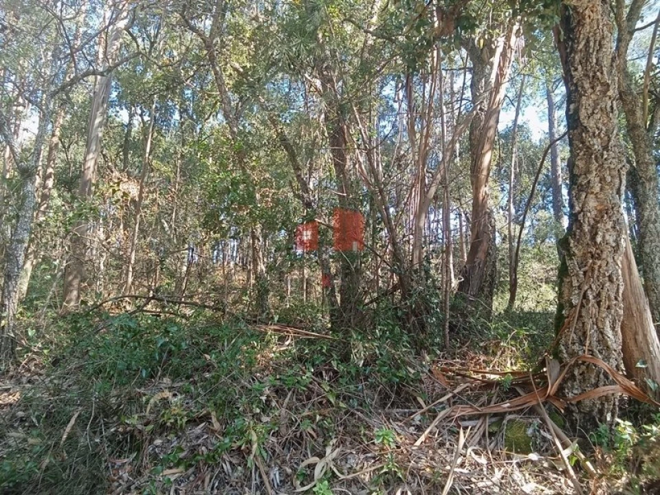 Terreno para Venda em Venda do Pinheiro e Santo Estêvão das Galés Foto 3