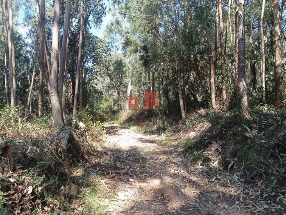 Terreno para Venda em Venda do Pinheiro e Santo Estêvão das Galés Foto 2