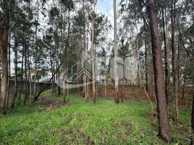 Terreno para Venda em Fiães Foto 10