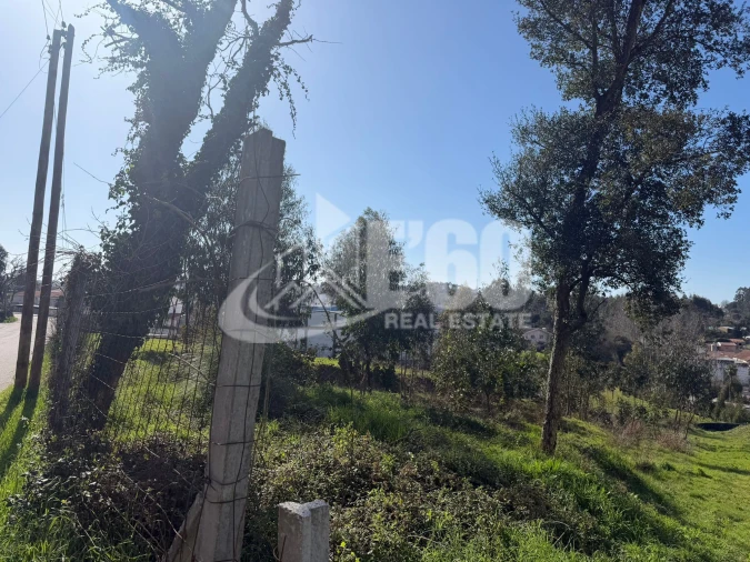 Terreno para Venda em Fiães Foto 12