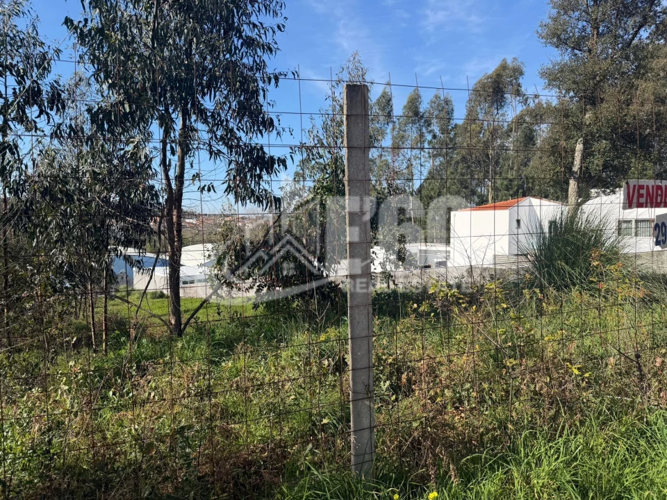 Terreno para Venda em Fiães Foto 13