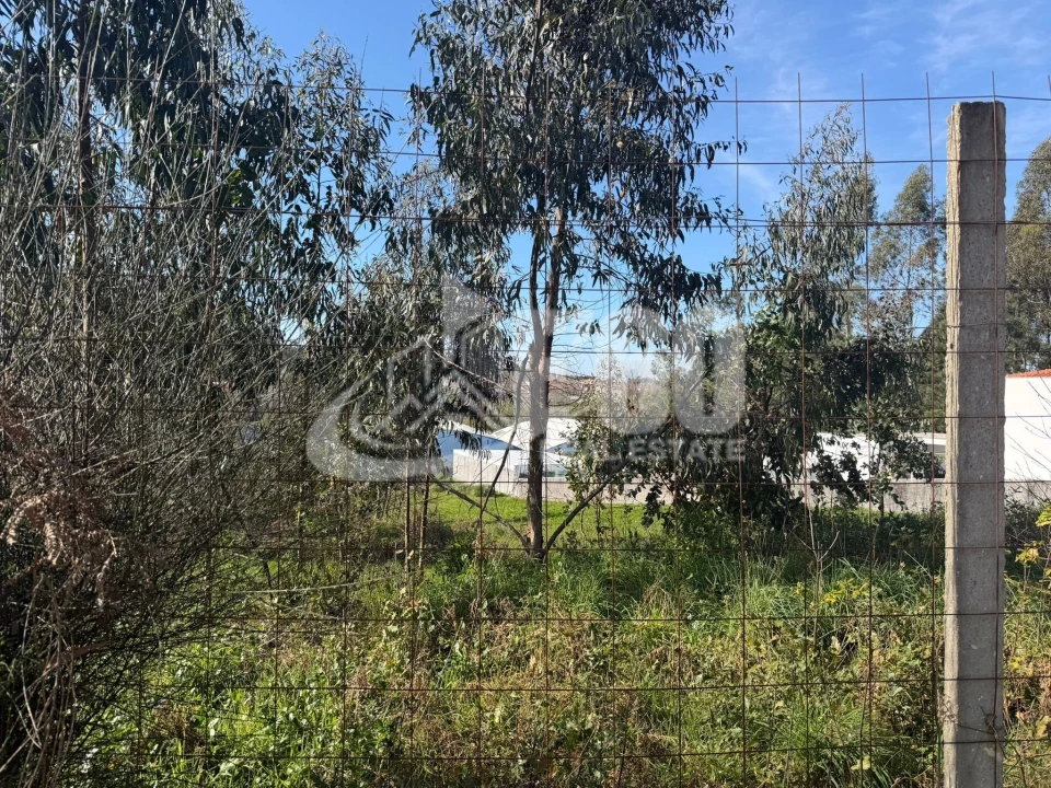 Terreno para Venda em Fiães Foto 8