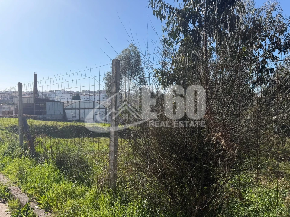 Terreno para Venda em Fiães Foto 7