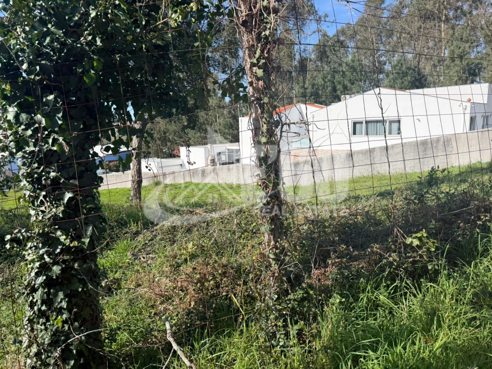 Terreno para Venda em Fiães Foto 15