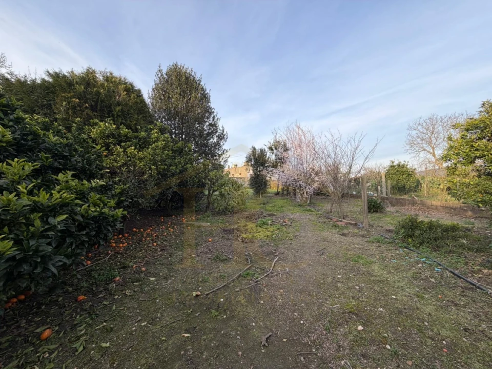 Moradia para Venda em Junqueira Foto 32