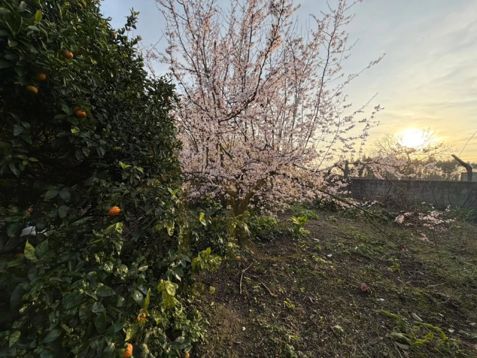 Moradia para Venda em Junqueira Foto 36