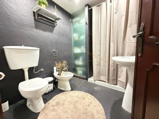 Moradia para Venda em Junqueira Foto 15