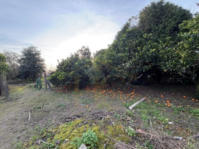 Moradia para Venda em Junqueira Foto 30