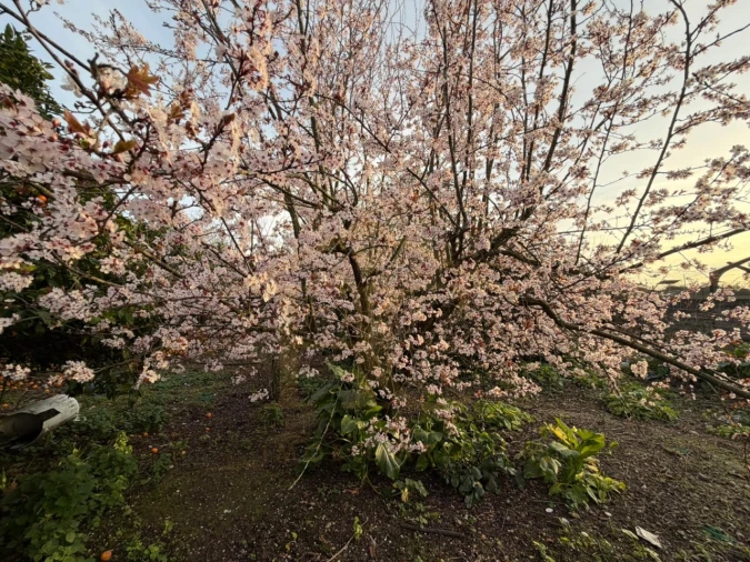 Moradia para Venda em Junqueira Foto 35