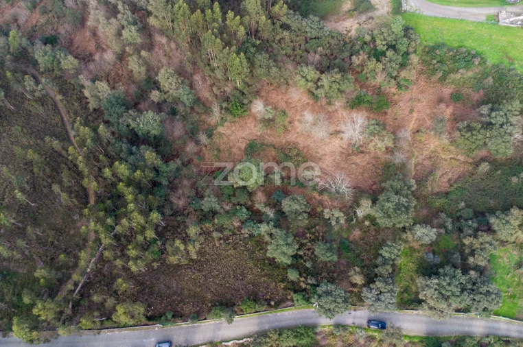 Terreno para Venda em Rio Mau Foto 3