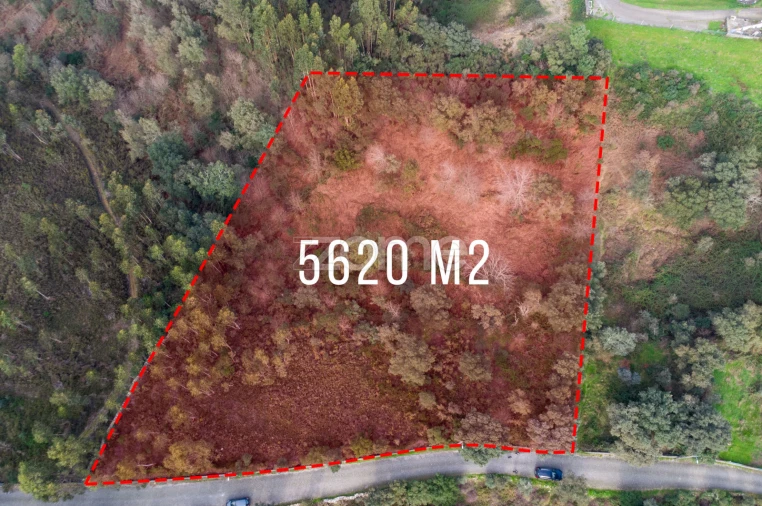 Terreno para Venda em Rio Mau Foto 12