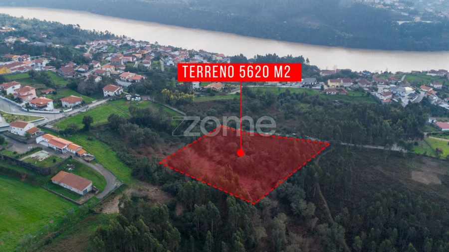 Terreno para Venda em Rio Mau