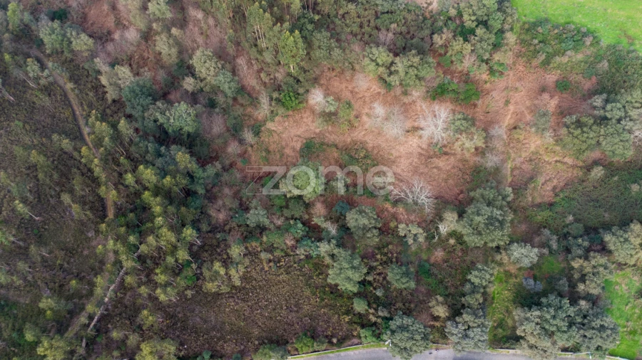 Terreno para Venda em Rio Mau