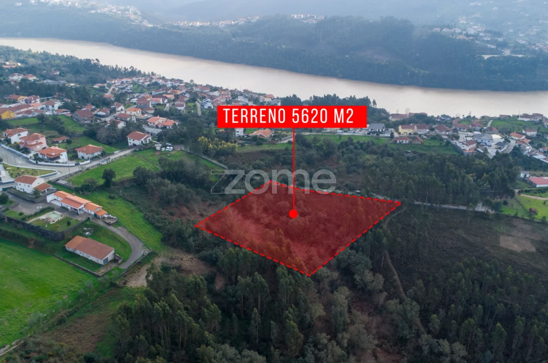 Terreno para Venda em Rio Mau Foto 9