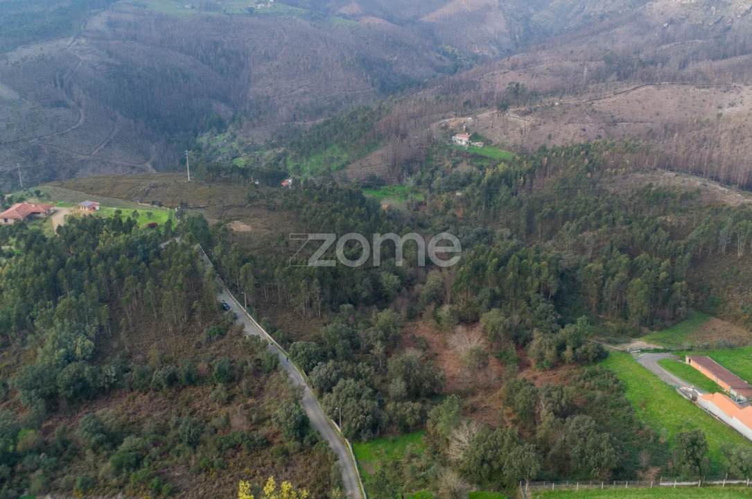 Terreno para Venda em Rio Mau Foto 6
