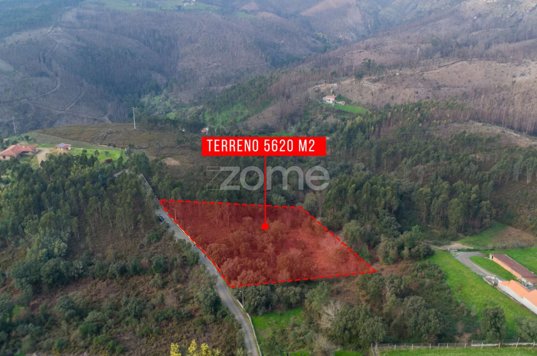 Terreno para Venda em Rio Mau Foto 14