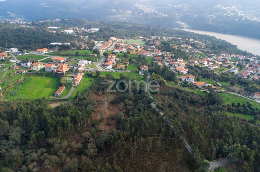 Terreno para Venda em Rio Mau Foto 5