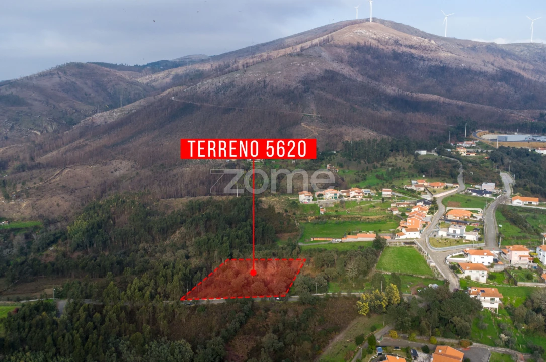 Terreno para Venda em Rio Mau Foto 13