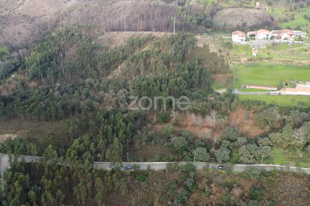 Terreno para Venda em Rio Mau Foto 8