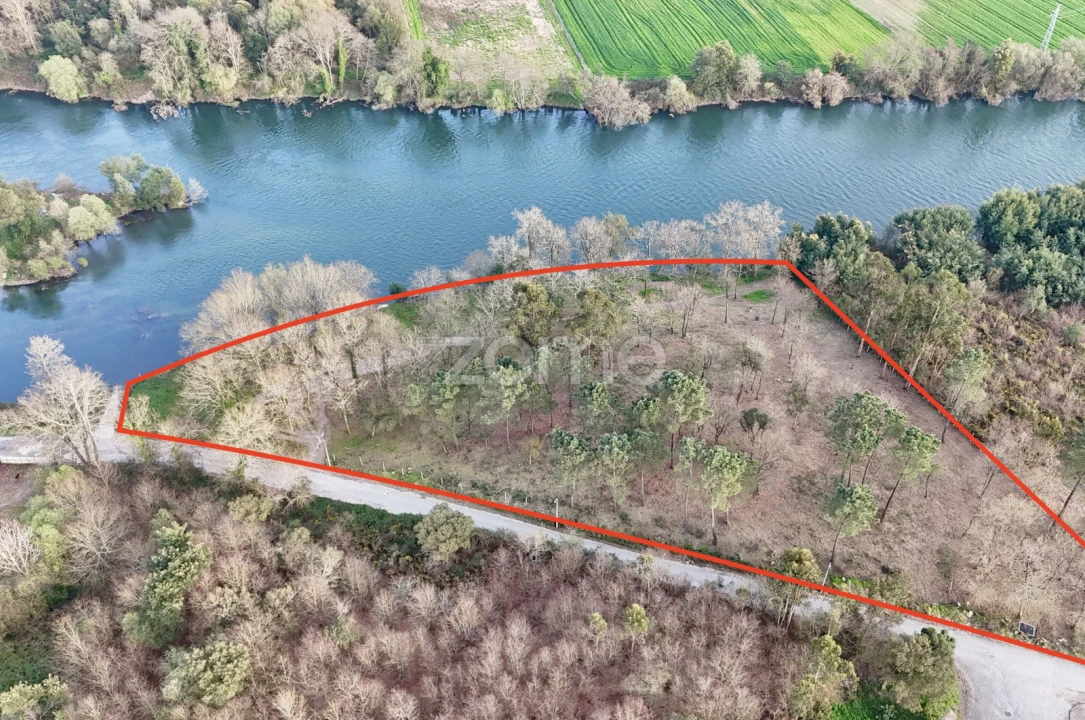 Terreno para Venda em Tamel (São Verissimo) Foto 2