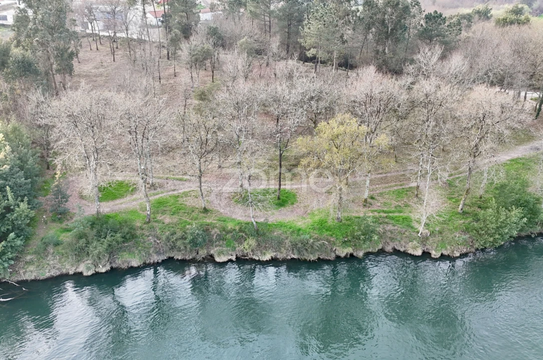 Terreno para Venda em Tamel (São Verissimo) Foto 23