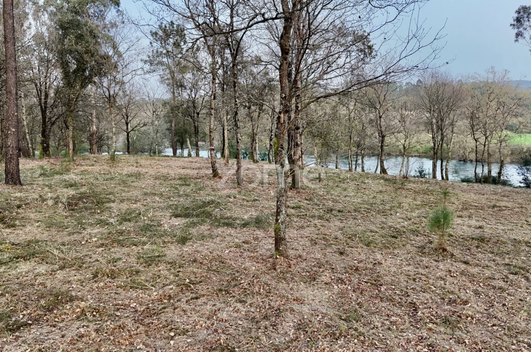 Terreno para Venda em Tamel (São Verissimo) Foto 17