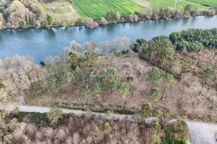 Terreno para Venda em Tamel (São Verissimo) Foto 21