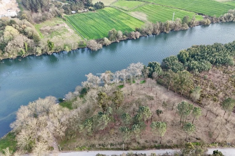 Terreno para Venda em Tamel (São Verissimo) Foto 22
