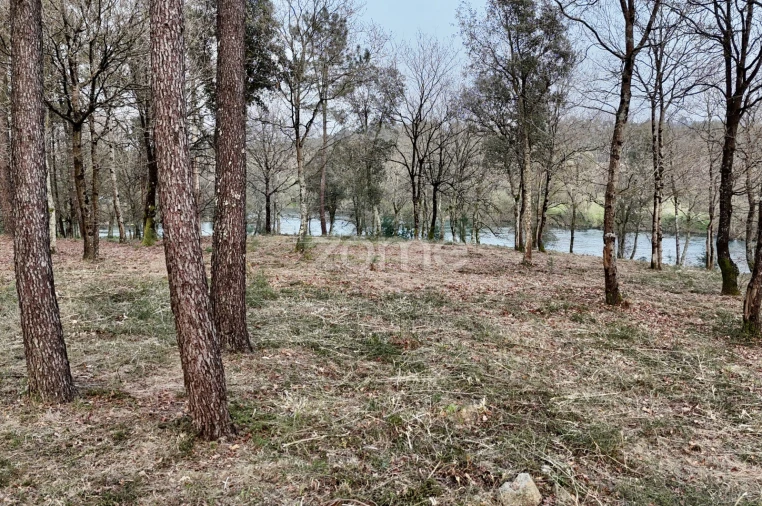 Terreno para Venda em Tamel (São Verissimo) Foto 24