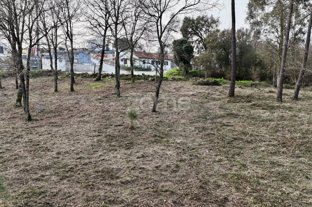 Terreno para Venda em Tamel (São Verissimo) Foto 26