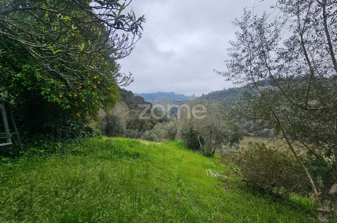 Quinta T2 para Venda em Barqueiros Foto 3