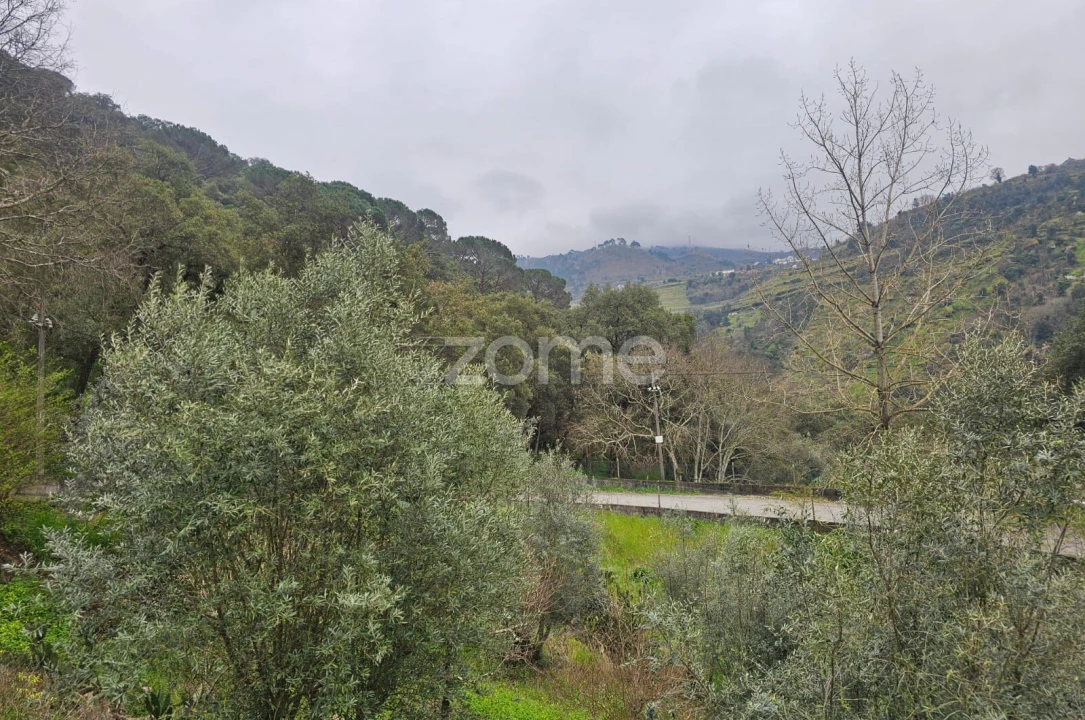 Quinta T2 para Venda em Barqueiros Foto 6