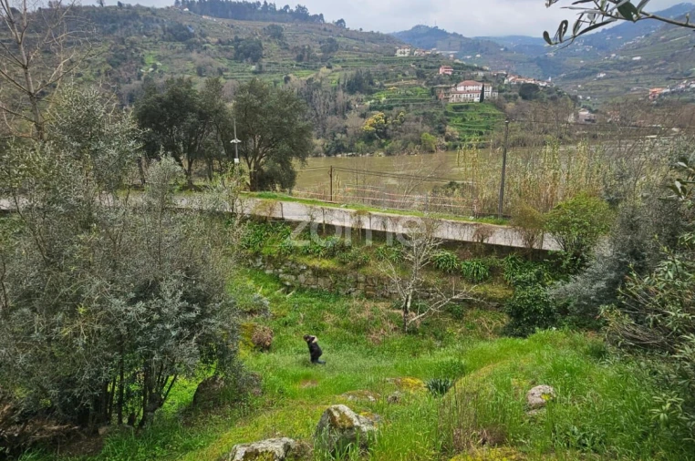 Quinta T2 para Venda em Barqueiros Foto 5