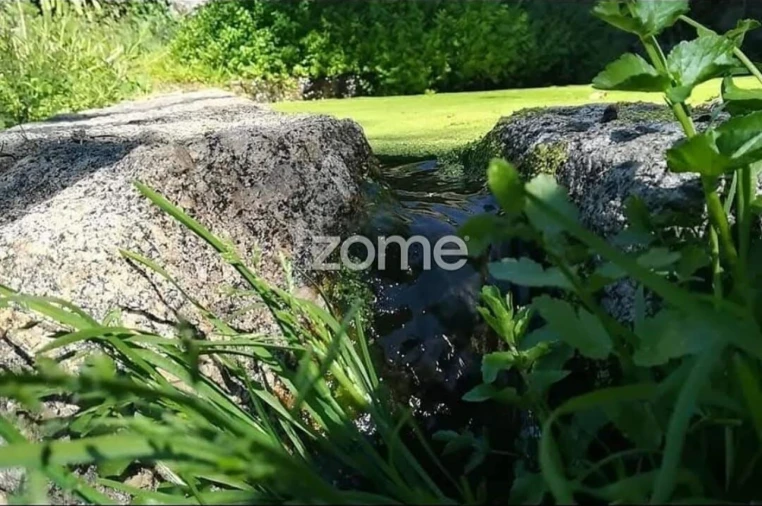 Quinta T2 para Venda em Barqueiros Foto 12