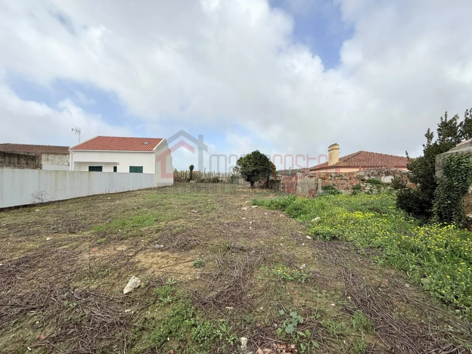 Terreno para Venda em Lourinhã e Atalaia Foto 3