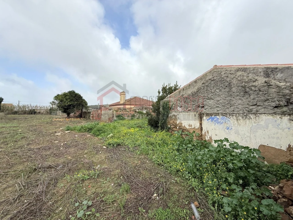 Terreno para Venda em Lourinhã e Atalaia Foto 5