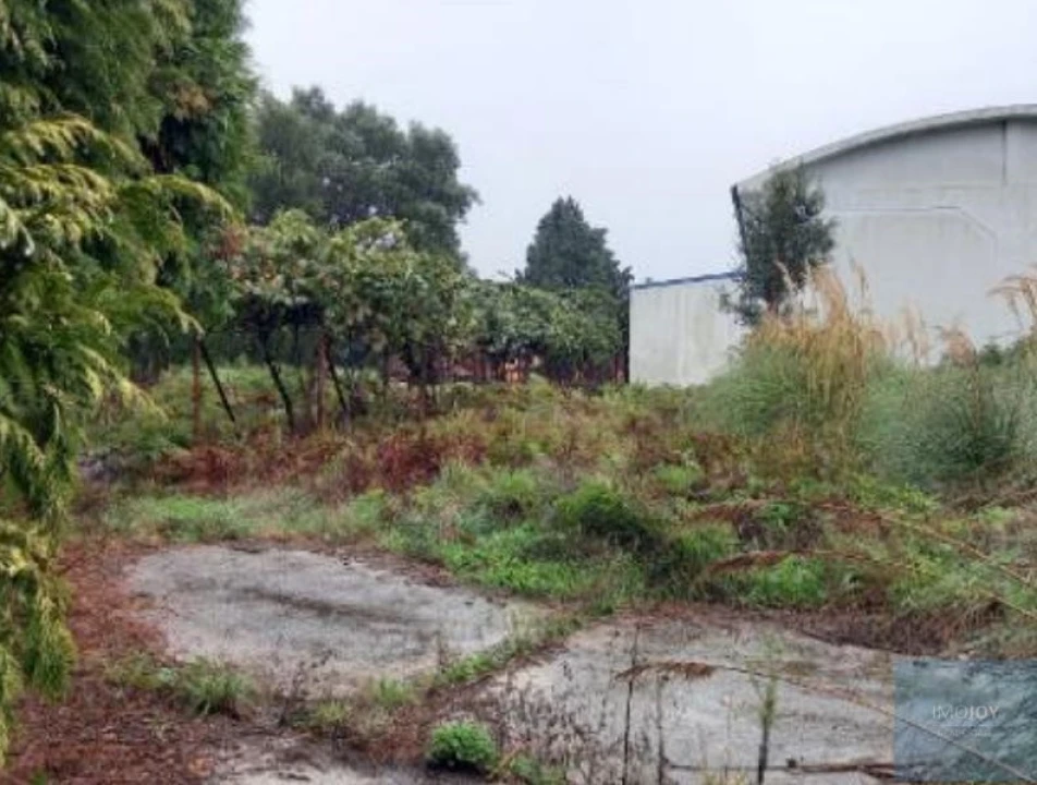 Armazém para Venda em Santa Maria da Feira, Travanca, Sanfins e Espargo Foto 3