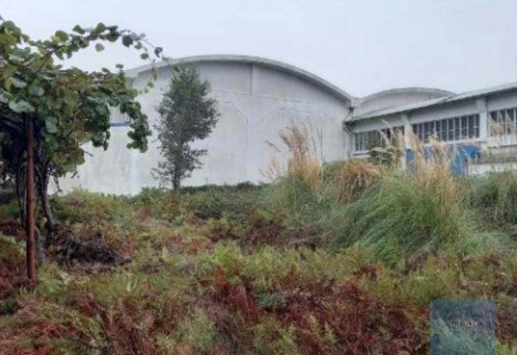 Armazém para Venda em Santa Maria da Feira, Travanca, Sanfins e Espargo Foto 6