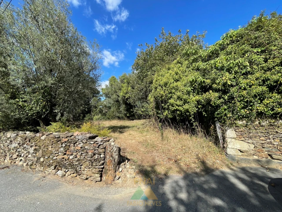 Quinta para Venda em Montaria Foto 2