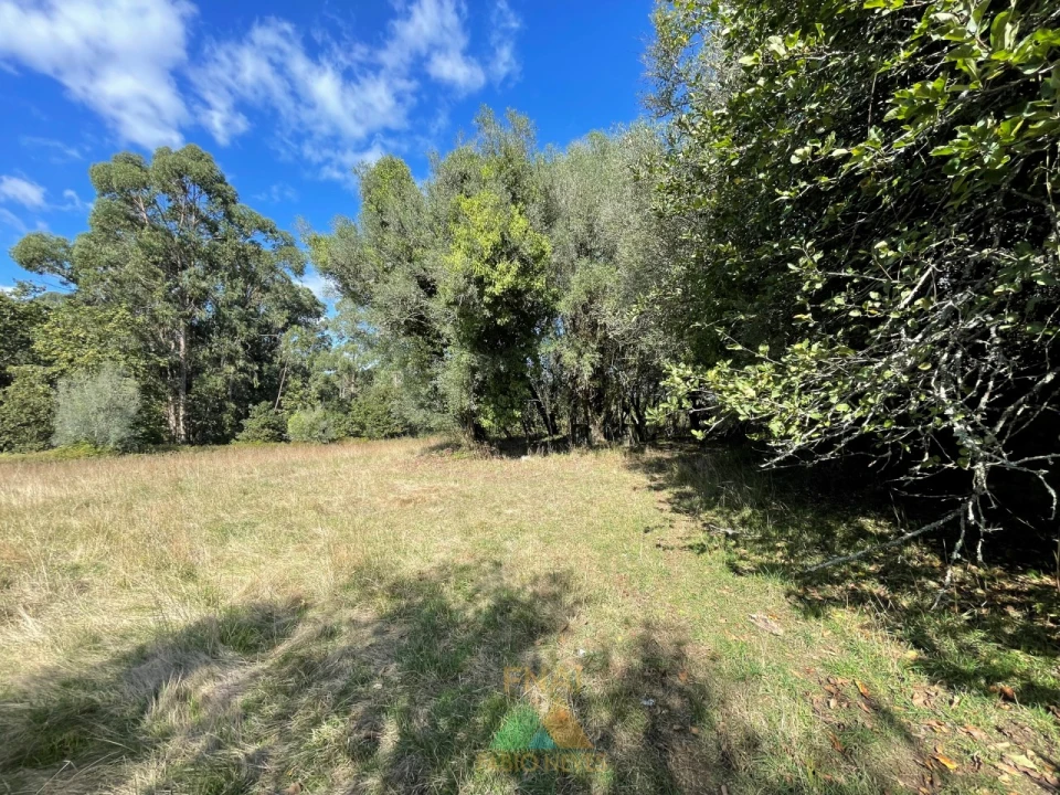 Quinta para Venda em Montaria Foto 4