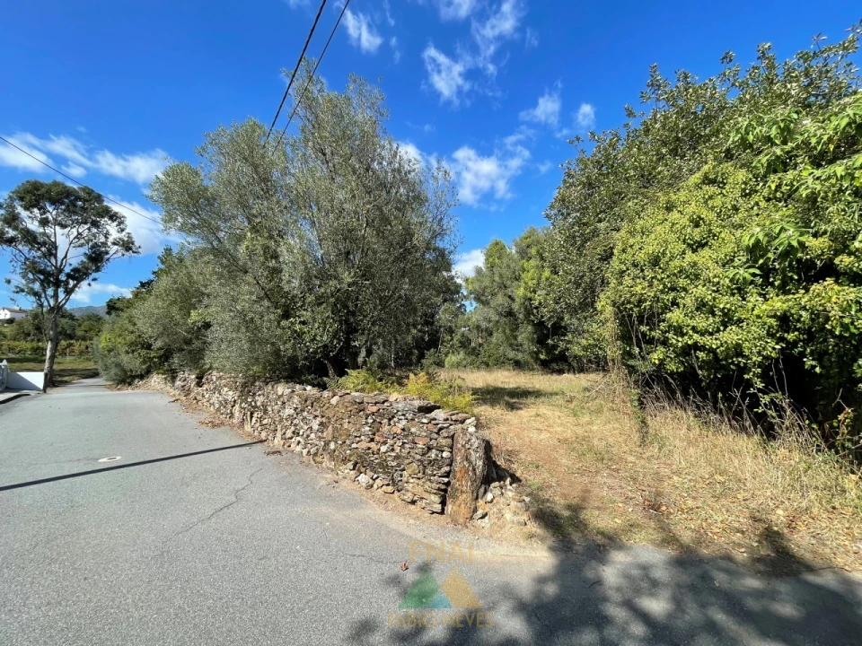 Quinta para Venda em Montaria Foto 6